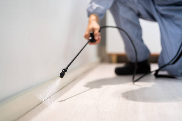Bed Bug Pre-Treatment Preparation Assessment in Coto de Caza