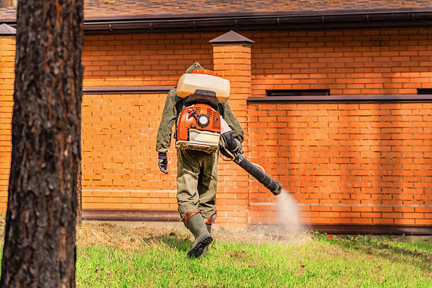 Bed Bug Clearance Verification and Documentation in Coto de Caza